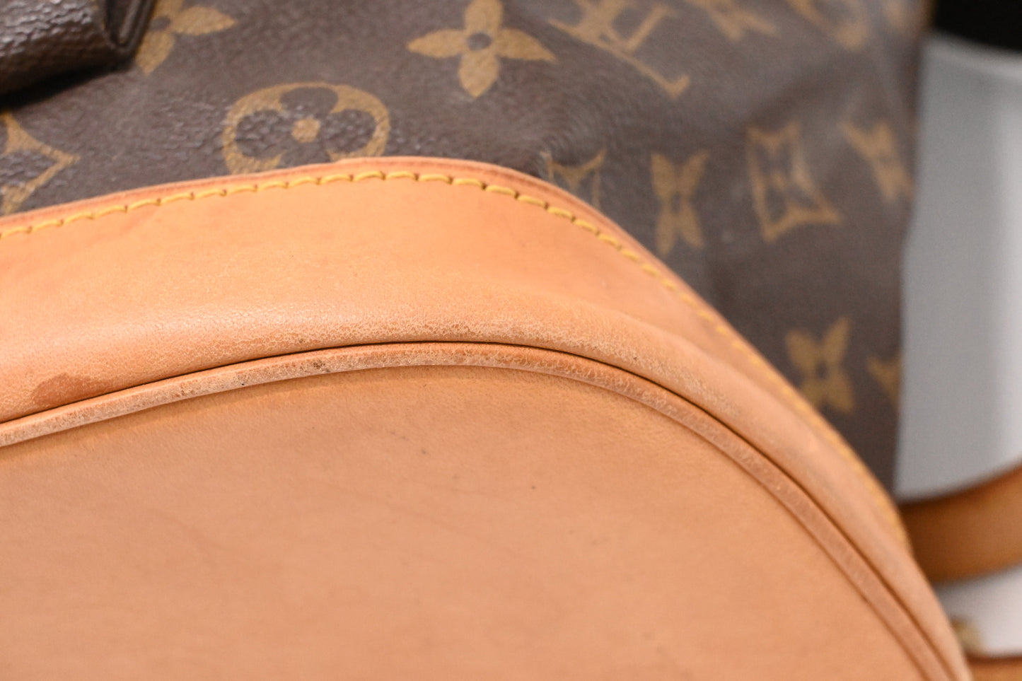Louis Vuitton Montsouris GM in Monogram Canvas