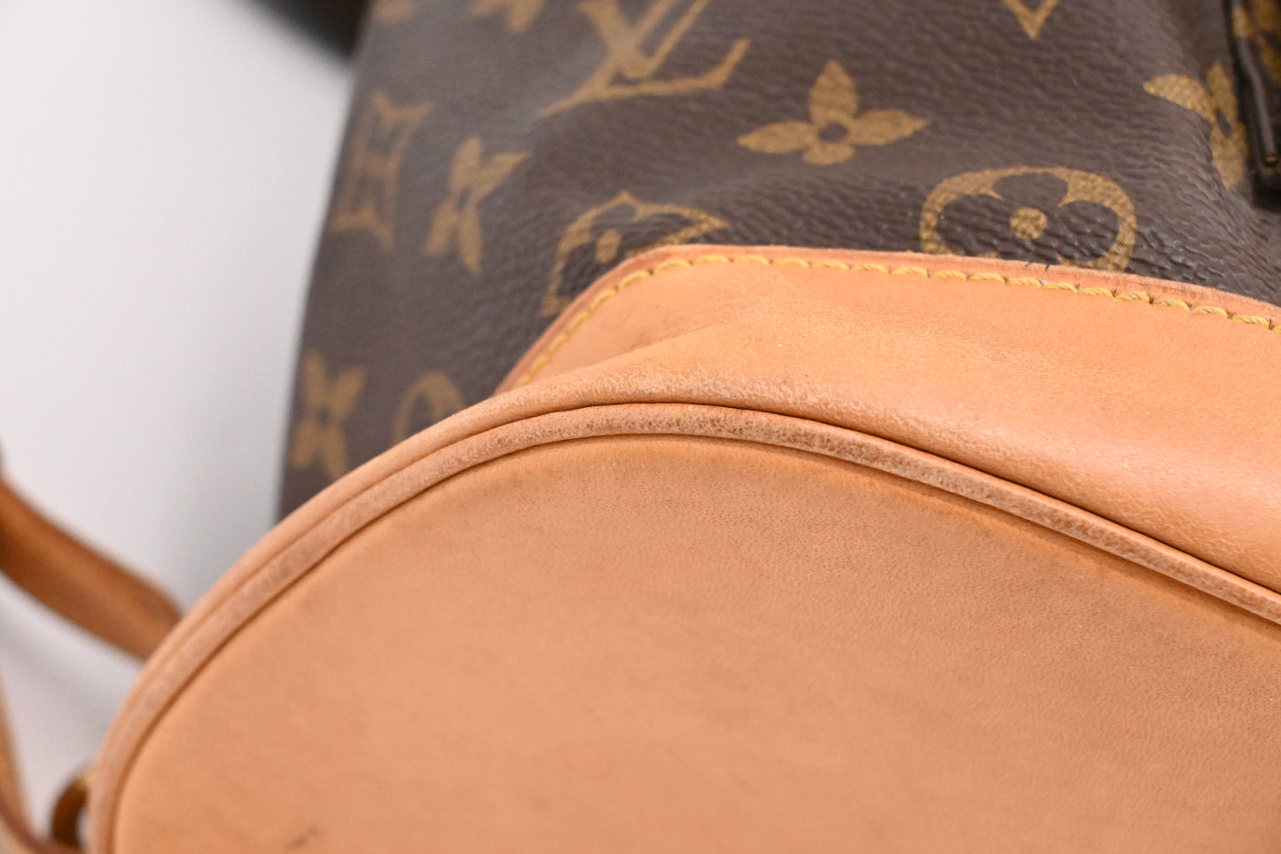 Louis Vuitton Montsouris GM in Monogram Canvas