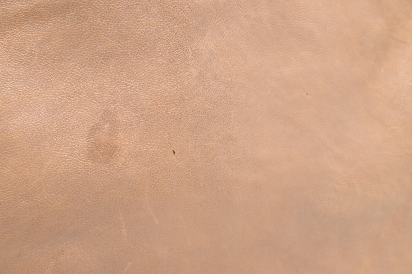 Prada Large Tote in Beige Leather