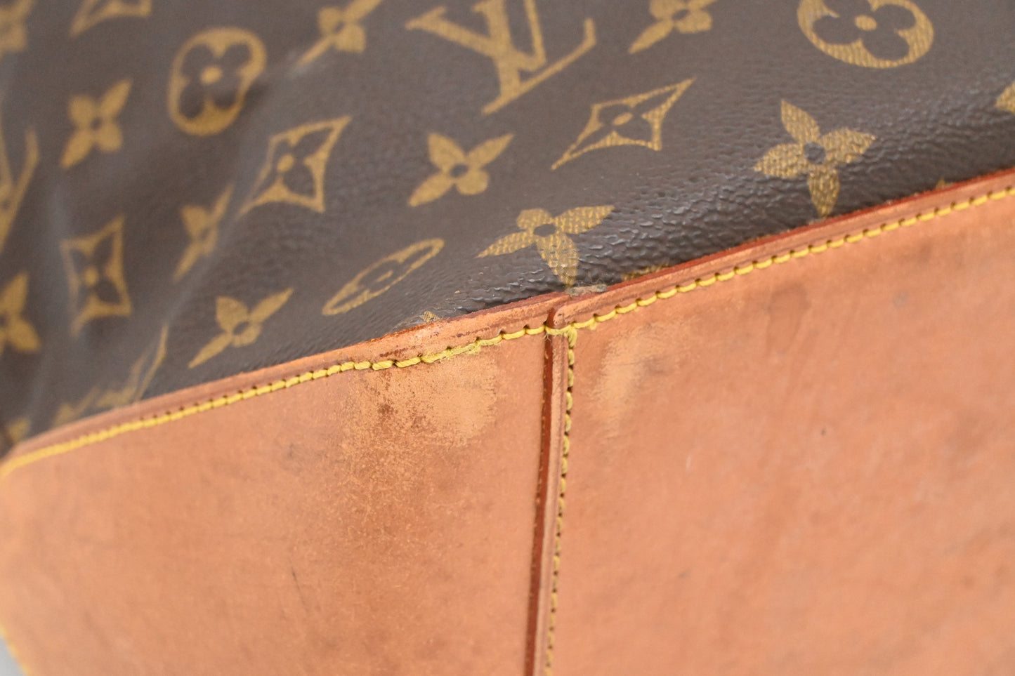 Louis Vuitton Cabas Alto in Monogram Canvas
