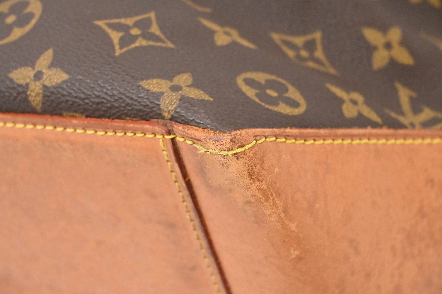 Louis Vuitton Cabas Alto in Monogram Canvas