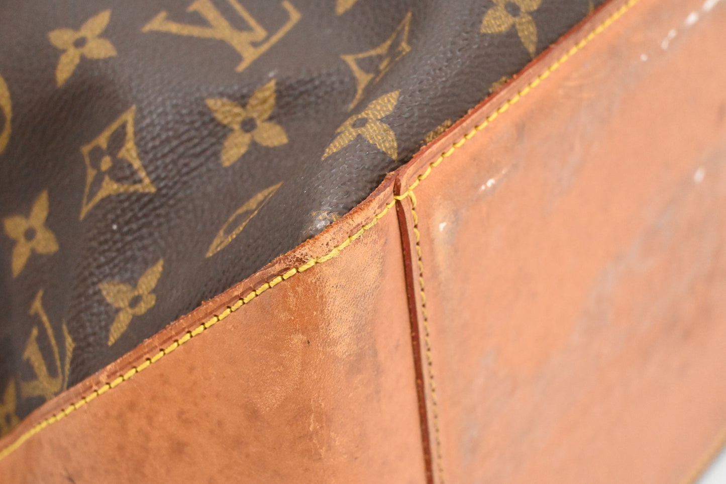 Louis Vuitton Cabas Alto in Monogram Canvas