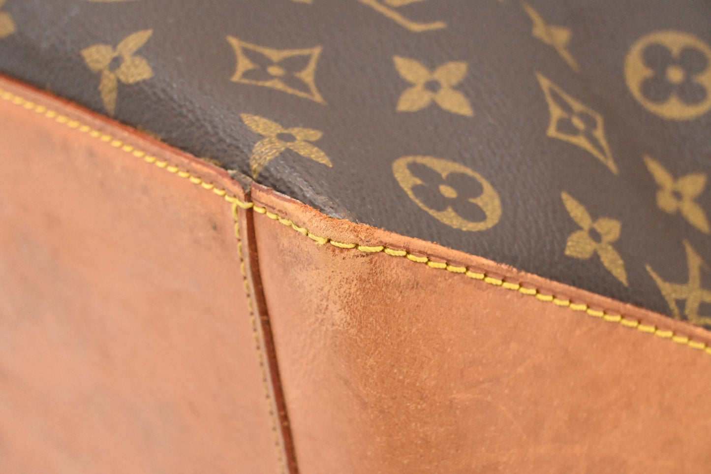 Louis Vuitton Cabas Alto in Monogram Canvas