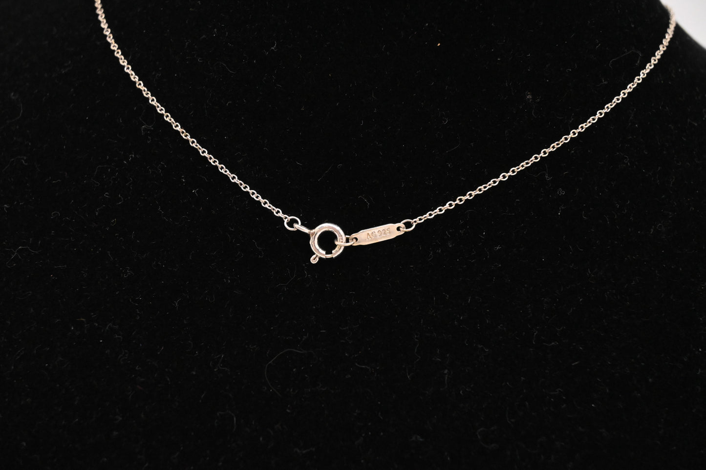 Tiffany & Co. Daisy Key Pendant Necklace in Sterling Silver