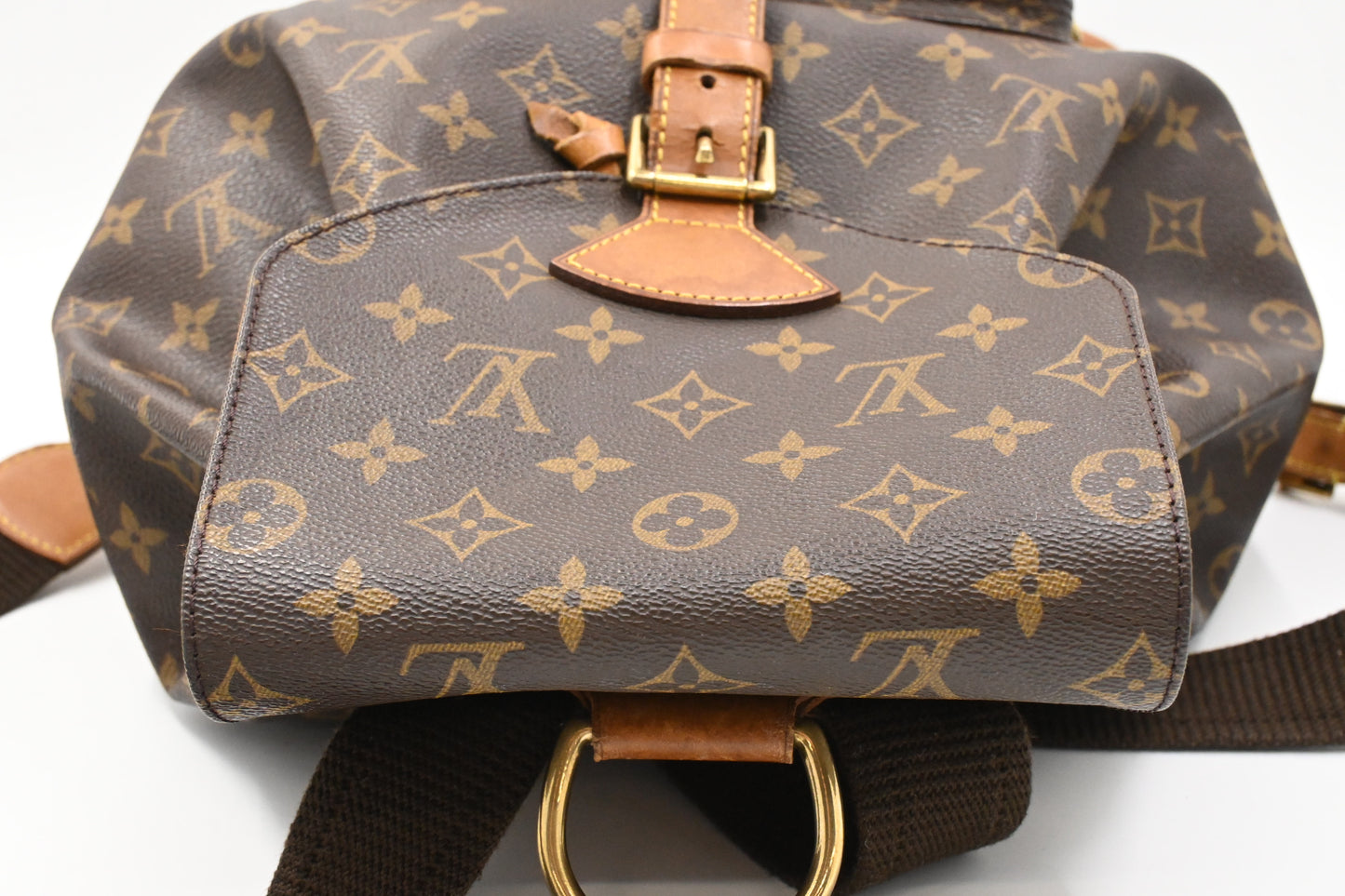 Louis Vuitton Montsouris GM in Monogram Canvas