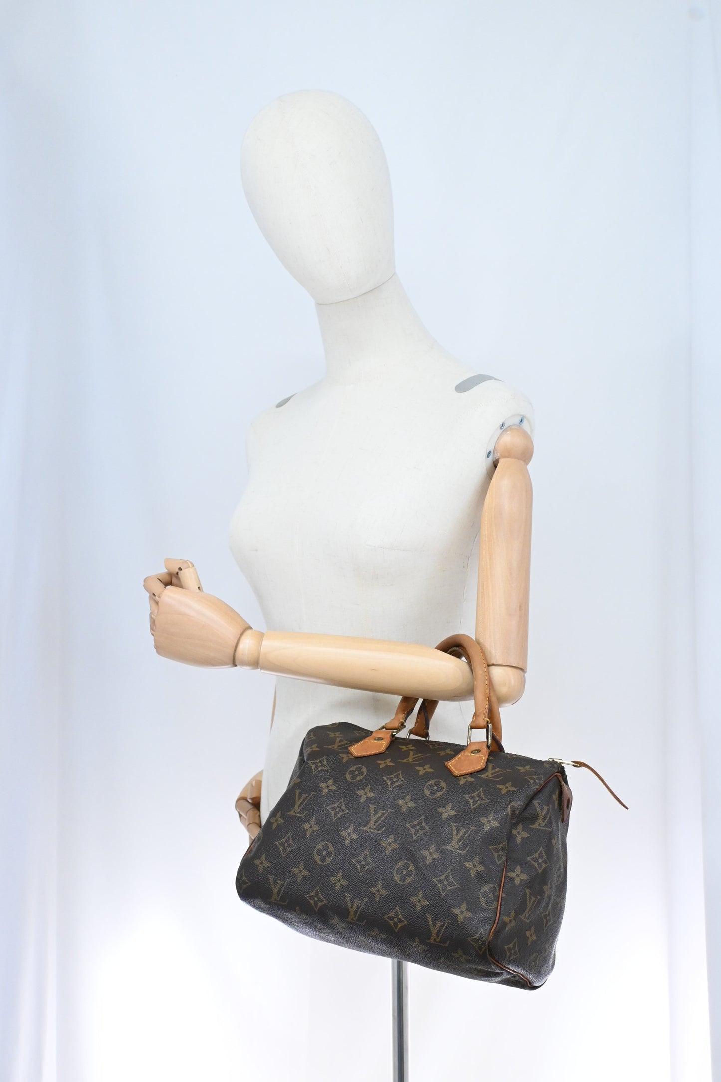 Louis Vuitton Speedy 25 in Monogram Canvas