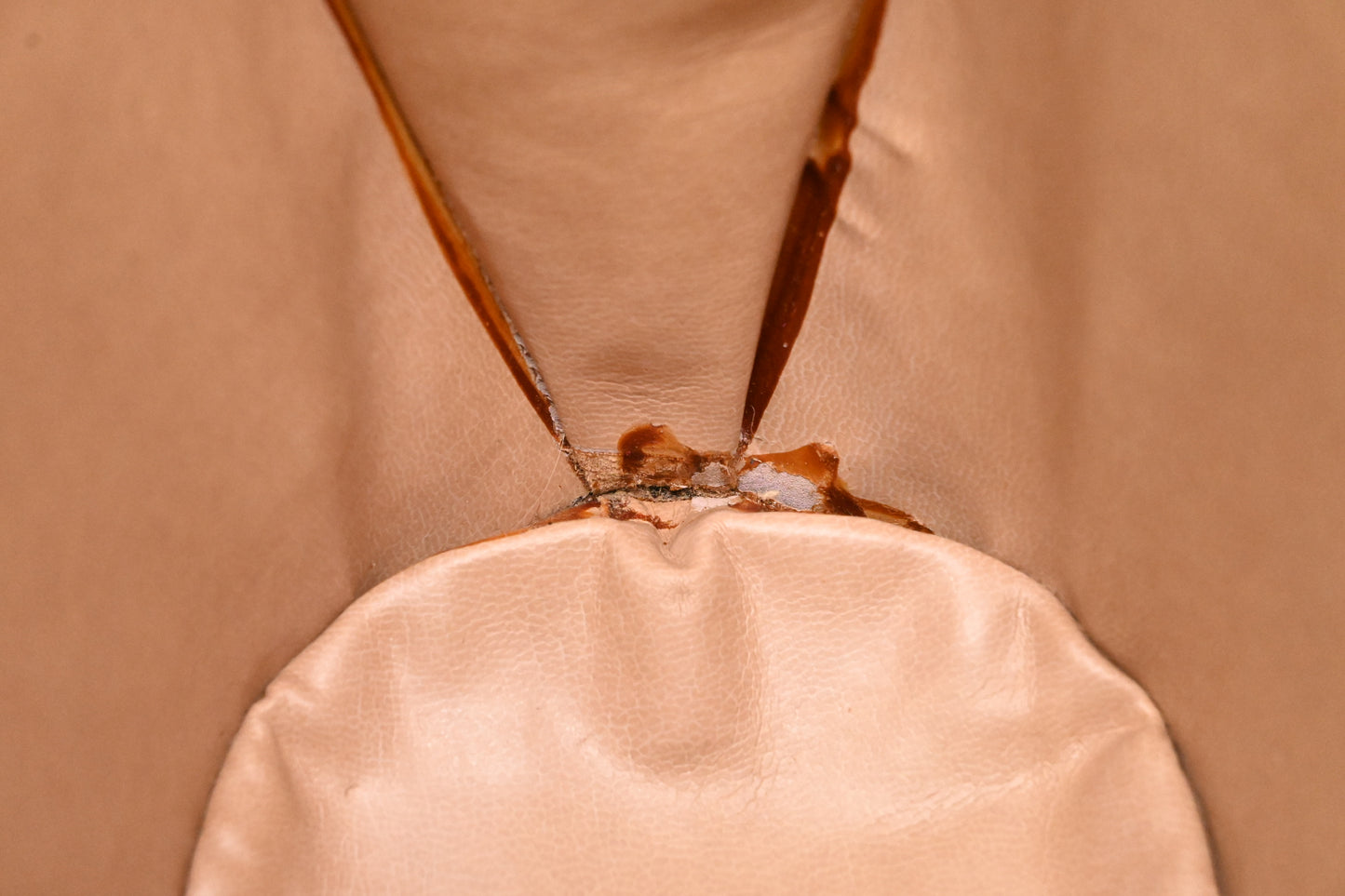 Bally Chain Shoulder Bag in Brown Leather
