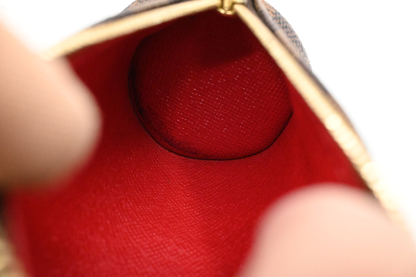 Louis Vuitton Papillon 30 in Damier Ebene Canvas