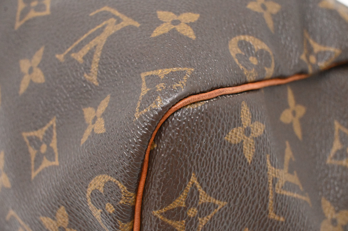 Louis Vuitton Speedy 25 in Monogram Canvas