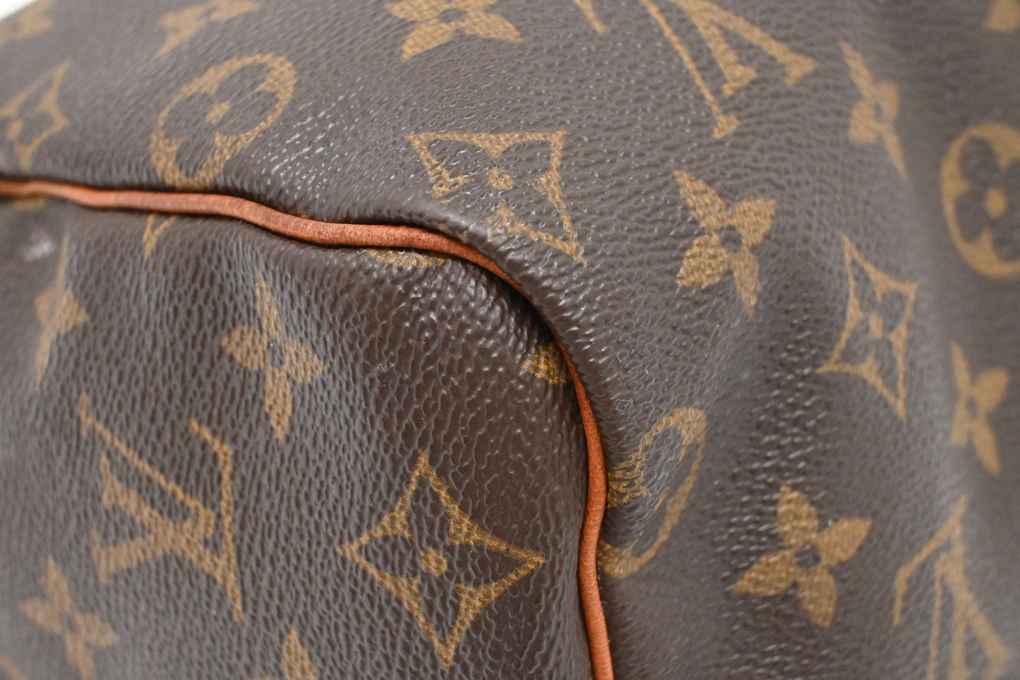 Louis Vuitton Speedy 25 in Monogram Canvas
