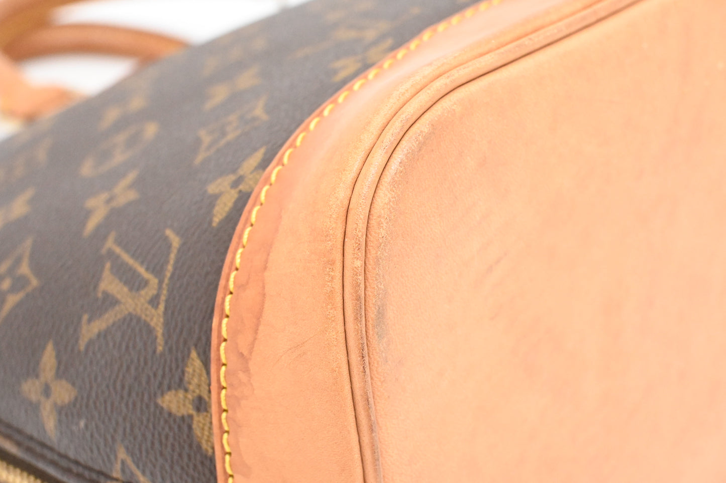Louis Vuitton Alma PM in Monogram Canvas