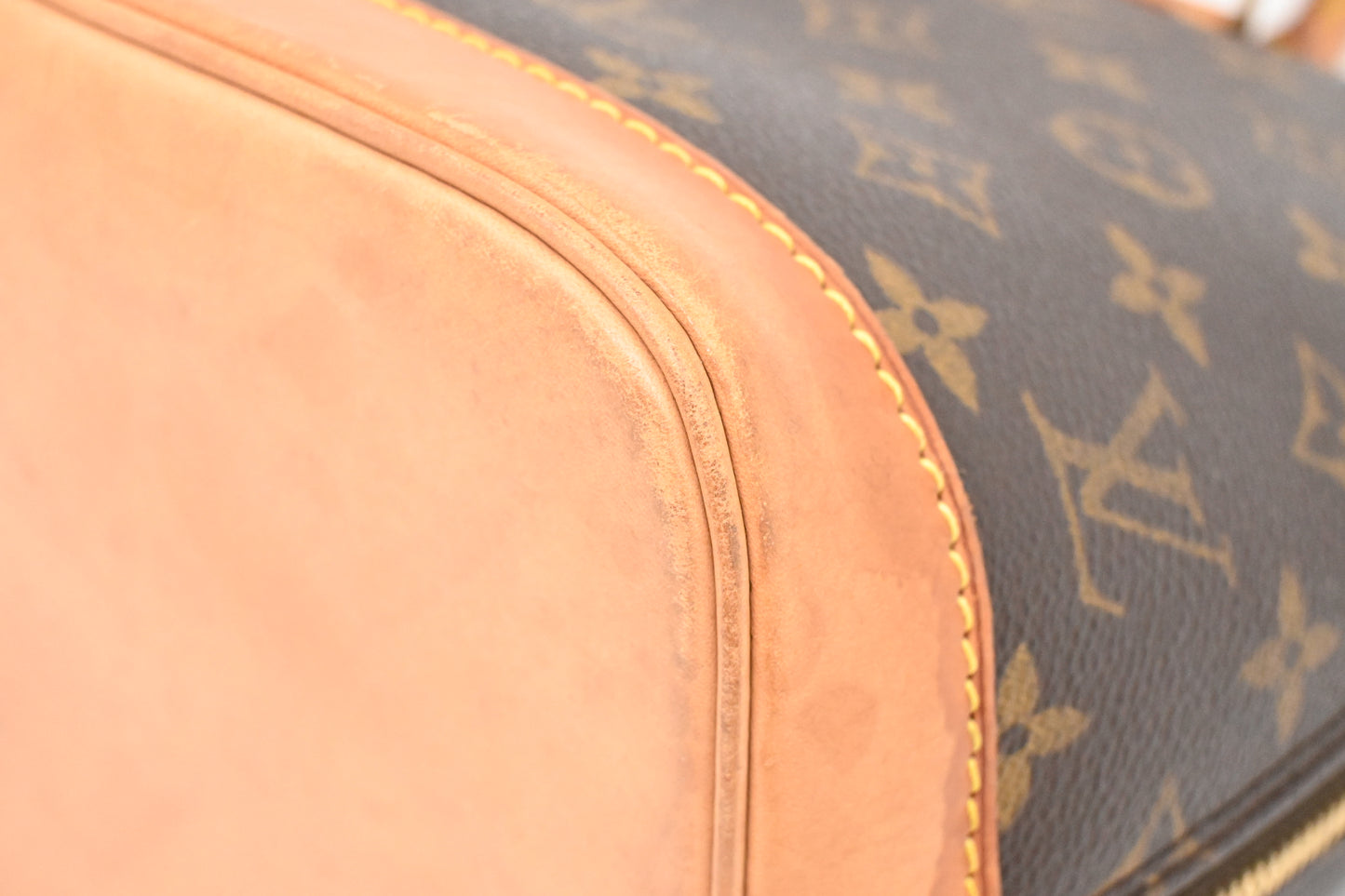 Louis Vuitton Alma PM in Monogram Canvas