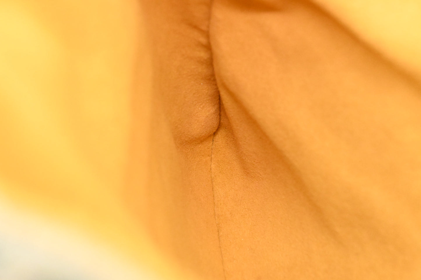 Louis Vuitton Pochette in Monogram Denim