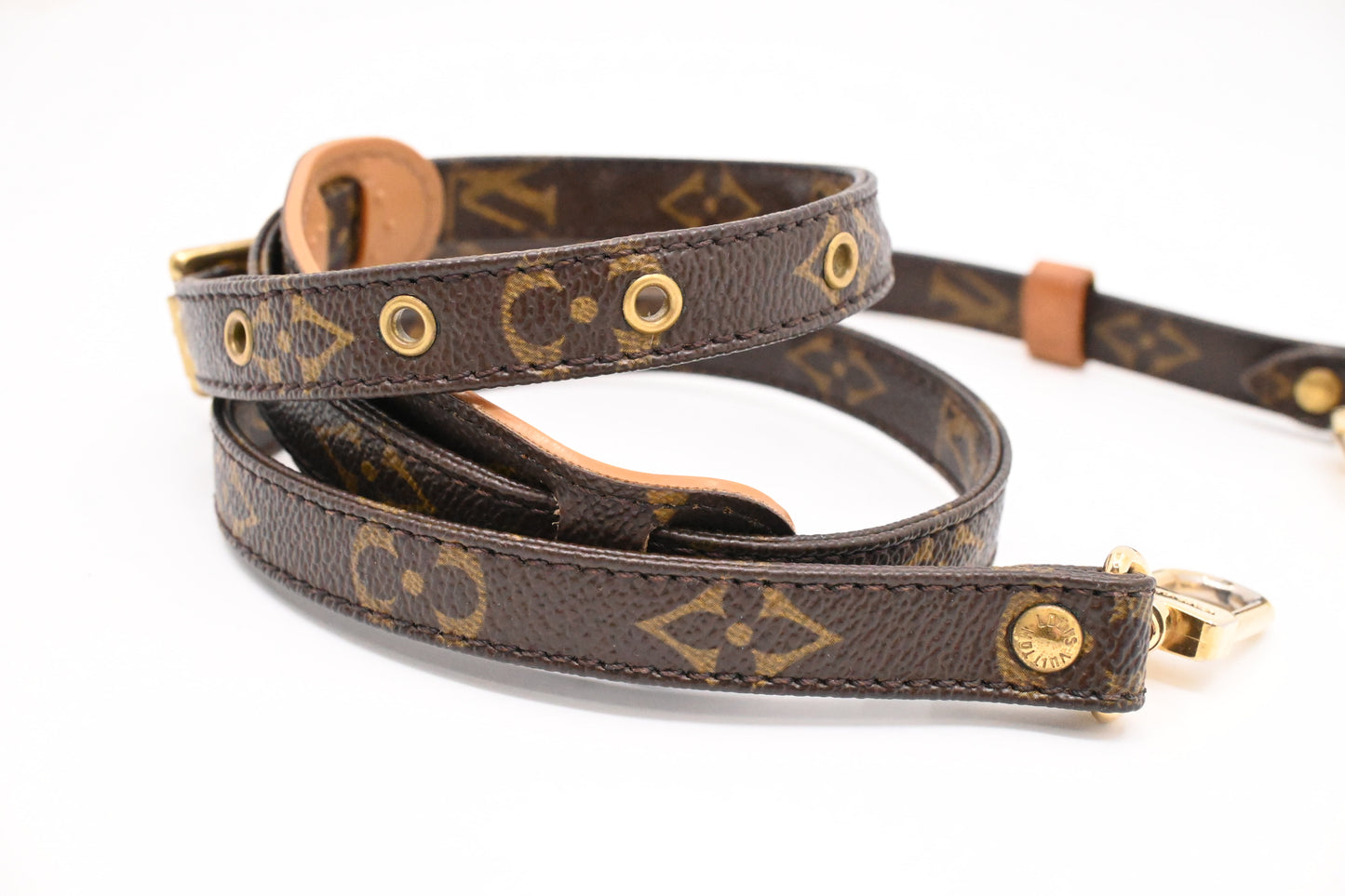 Louis Vuitton Strap in Monogram Canvas
