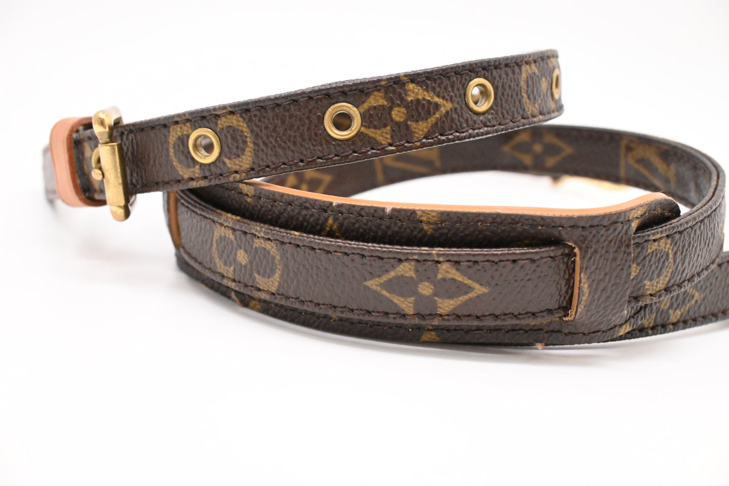 Louis Vuitton Strap in Monogram Canvas
