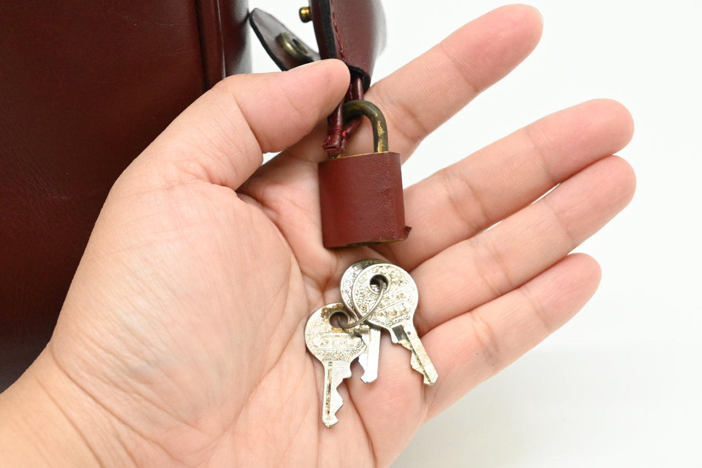 Cartier Handbag in Burgundy Leather