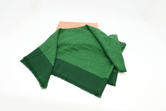 Louis Vuitton Shawl in Green Wool and Silk