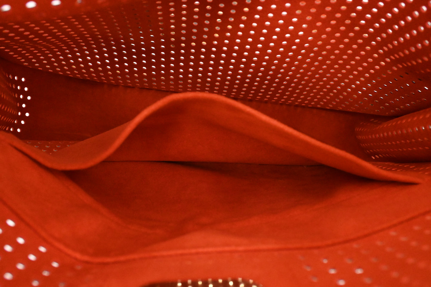 Louis Vuitton Limited Edition Musette in Perforated Monogram Canvas