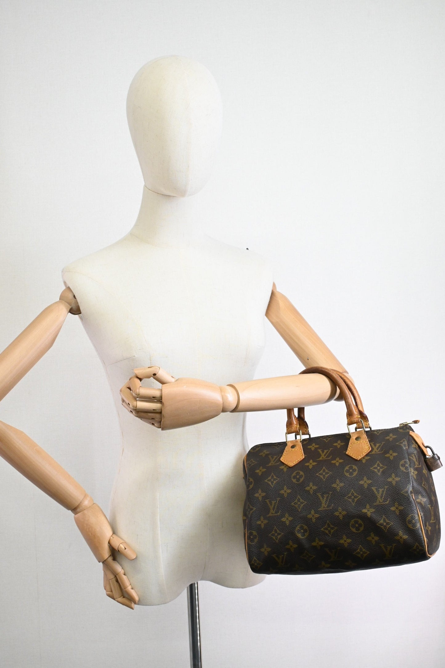 Louis Vuitton Speedy 25 in Monogram Canvas