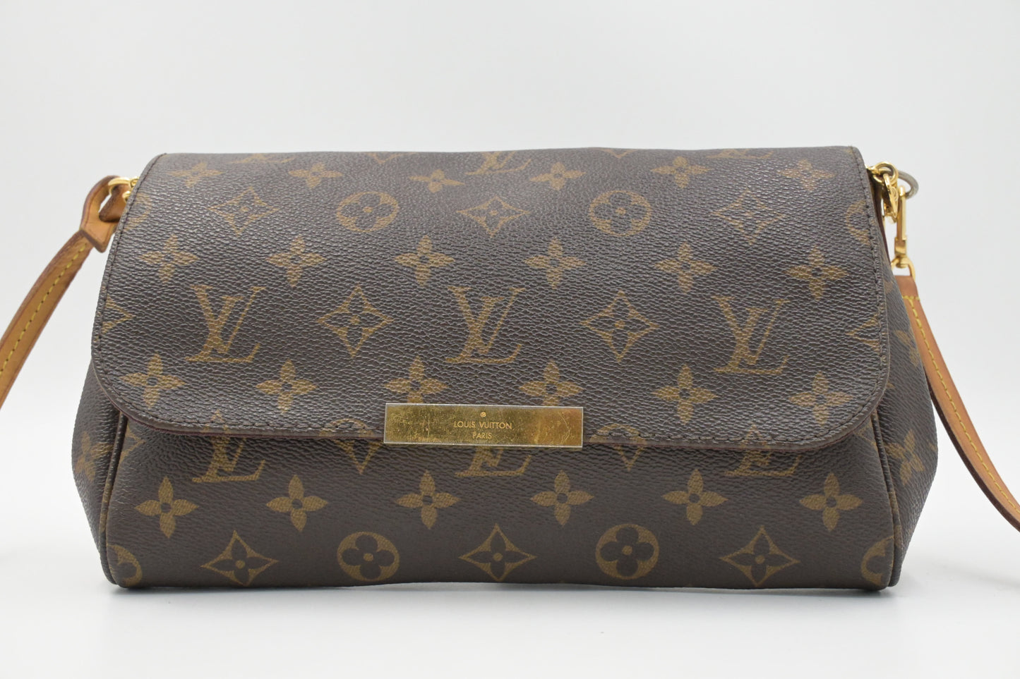Louis Vuitton Favorite MM in Monogram Canvas