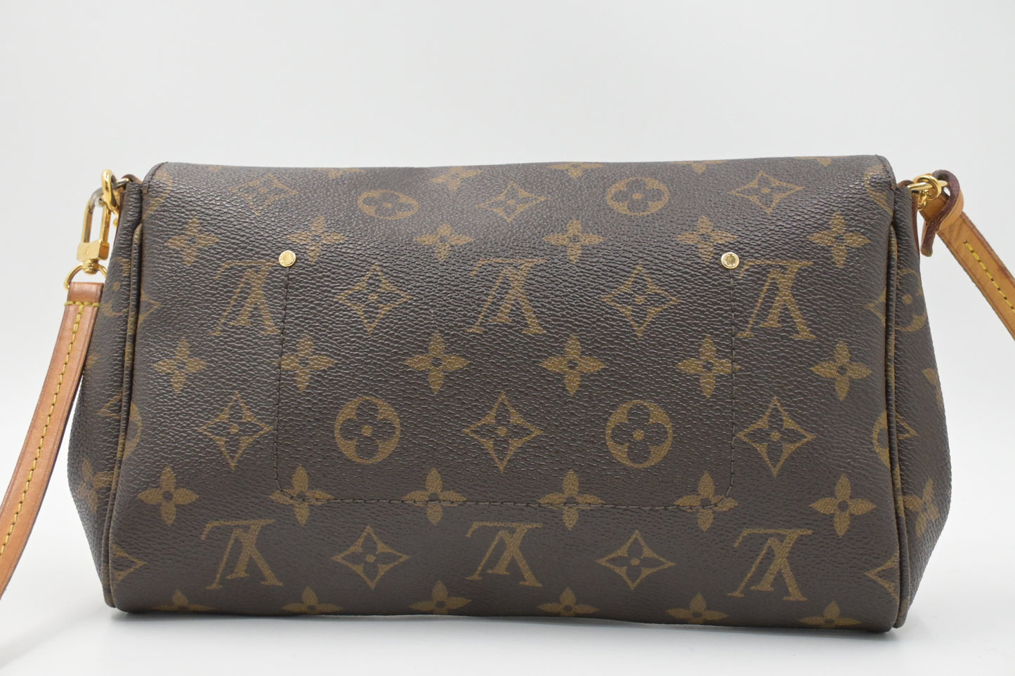 Louis Vuitton Favorite MM in Monogram Canvas