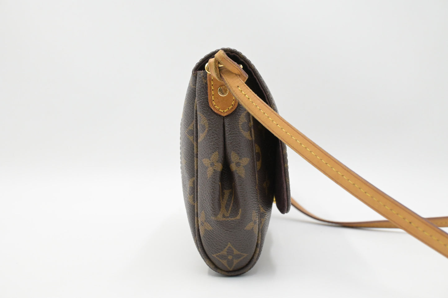 Louis Vuitton Favorite MM in Monogram Canvas