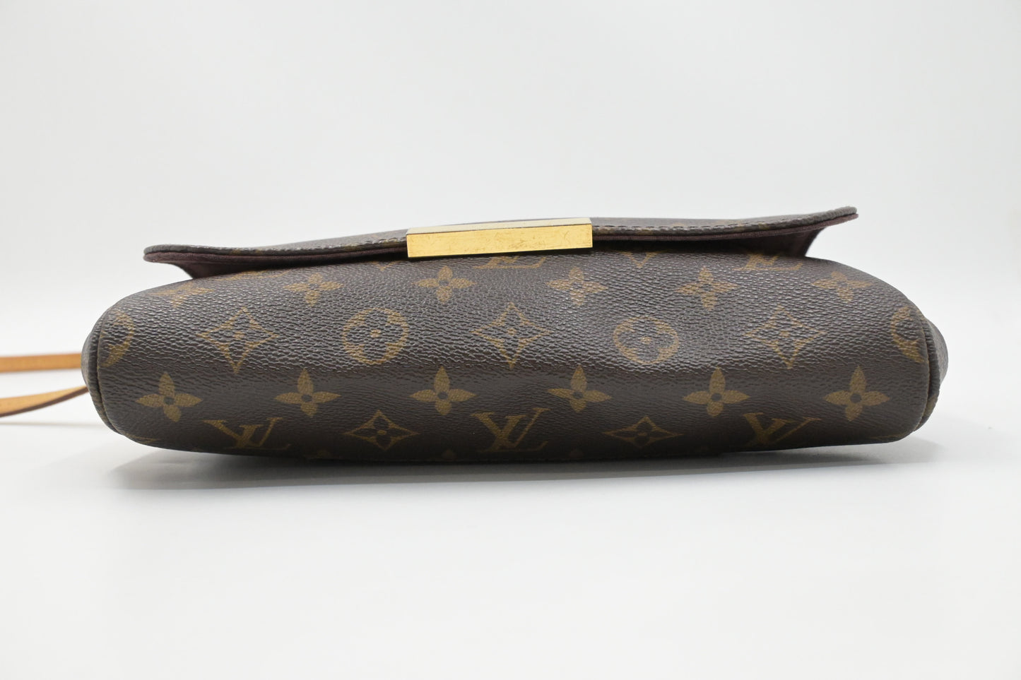 Louis Vuitton Favorite MM in Monogram Canvas