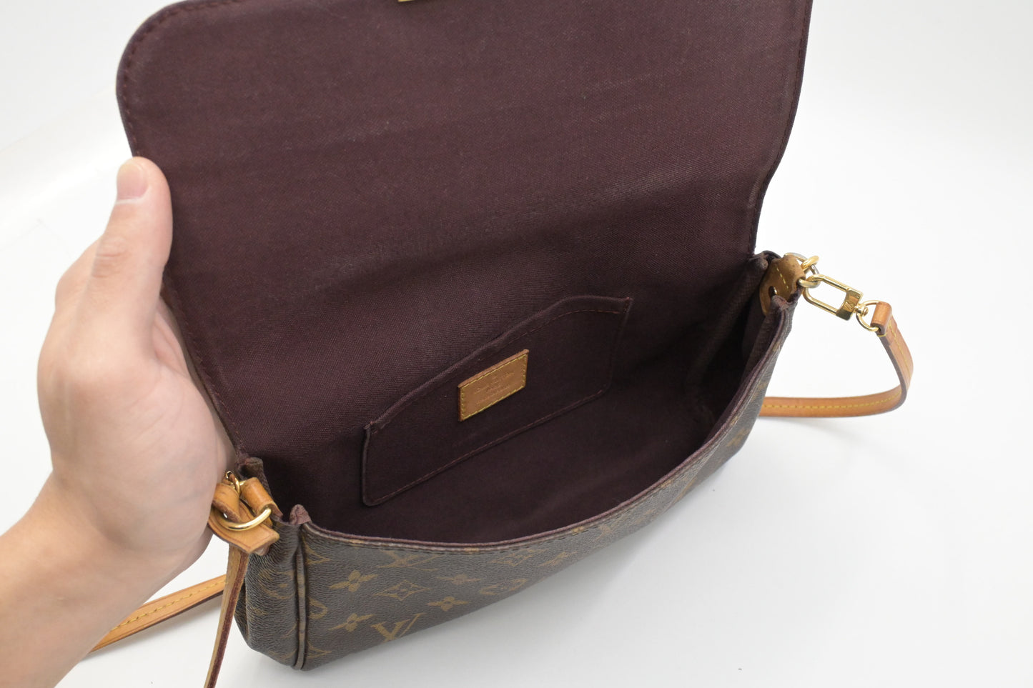 Louis Vuitton Favorite MM in Monogram Canvas