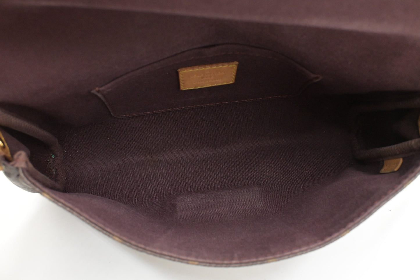 Louis Vuitton Favorite MM in Monogram Canvas