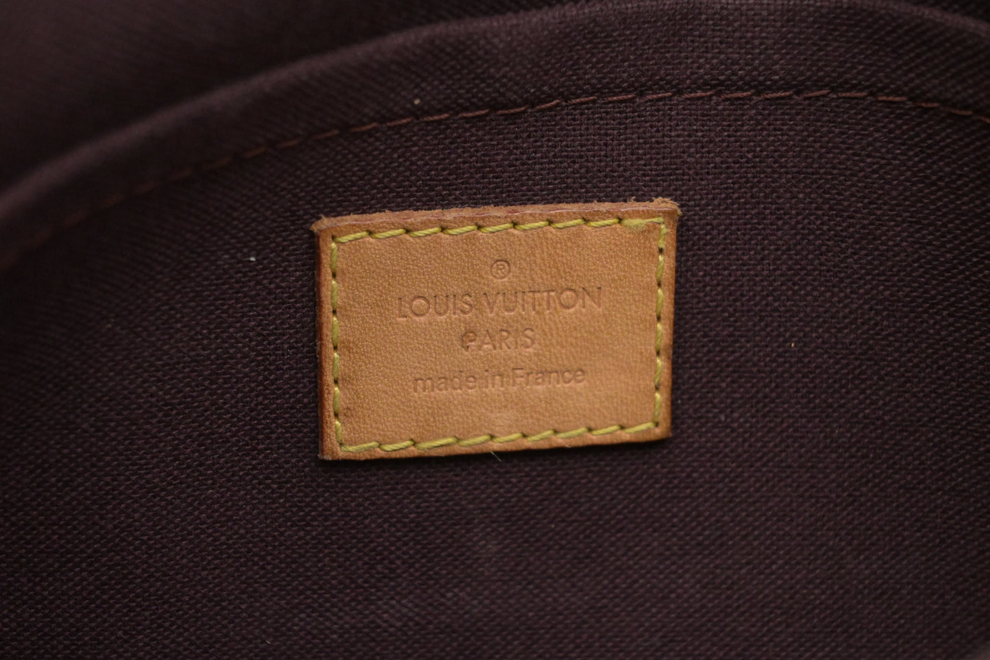 Louis Vuitton Favorite MM in Monogram Canvas