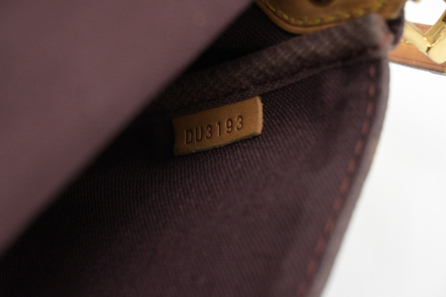 Louis Vuitton Favorite MM in Monogram Canvas