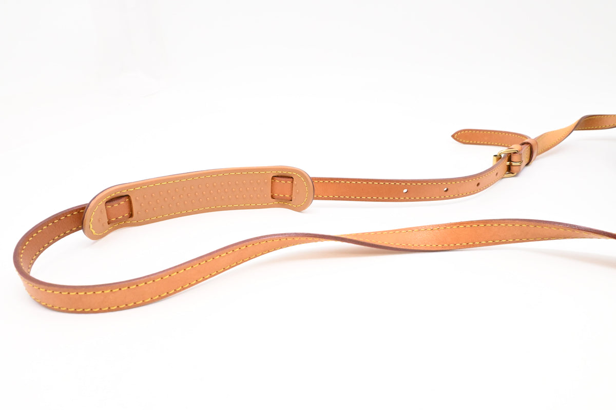 Louis Vuitton Blois in Monogram Canvas