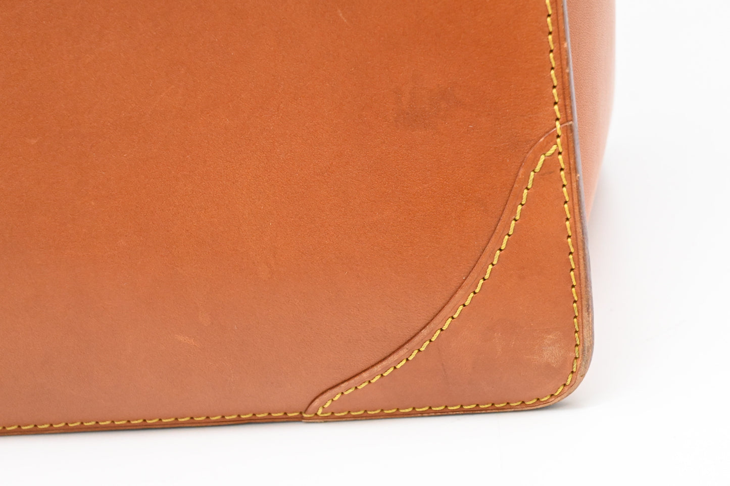 Louis Vuitton Negev in Nomade Leather