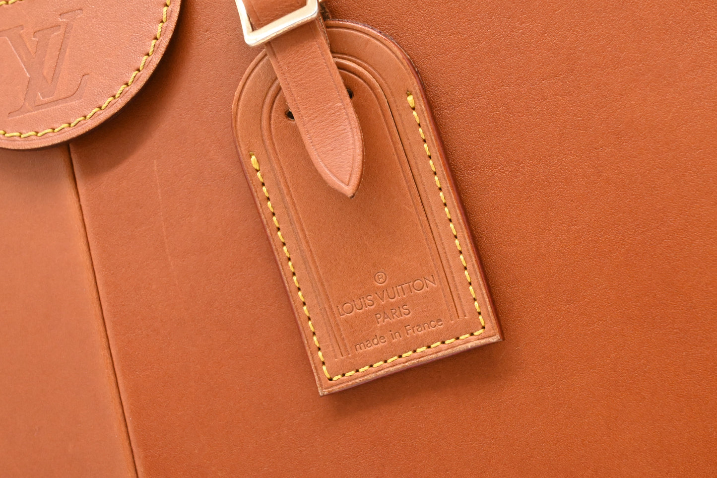 Louis Vuitton Negev in Nomade Leather