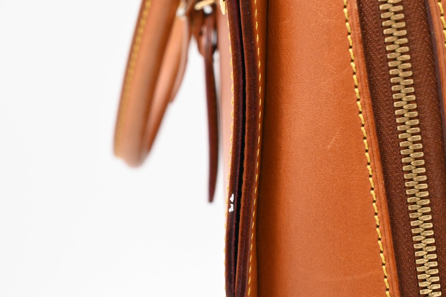 Louis Vuitton Negev in Nomade Leather