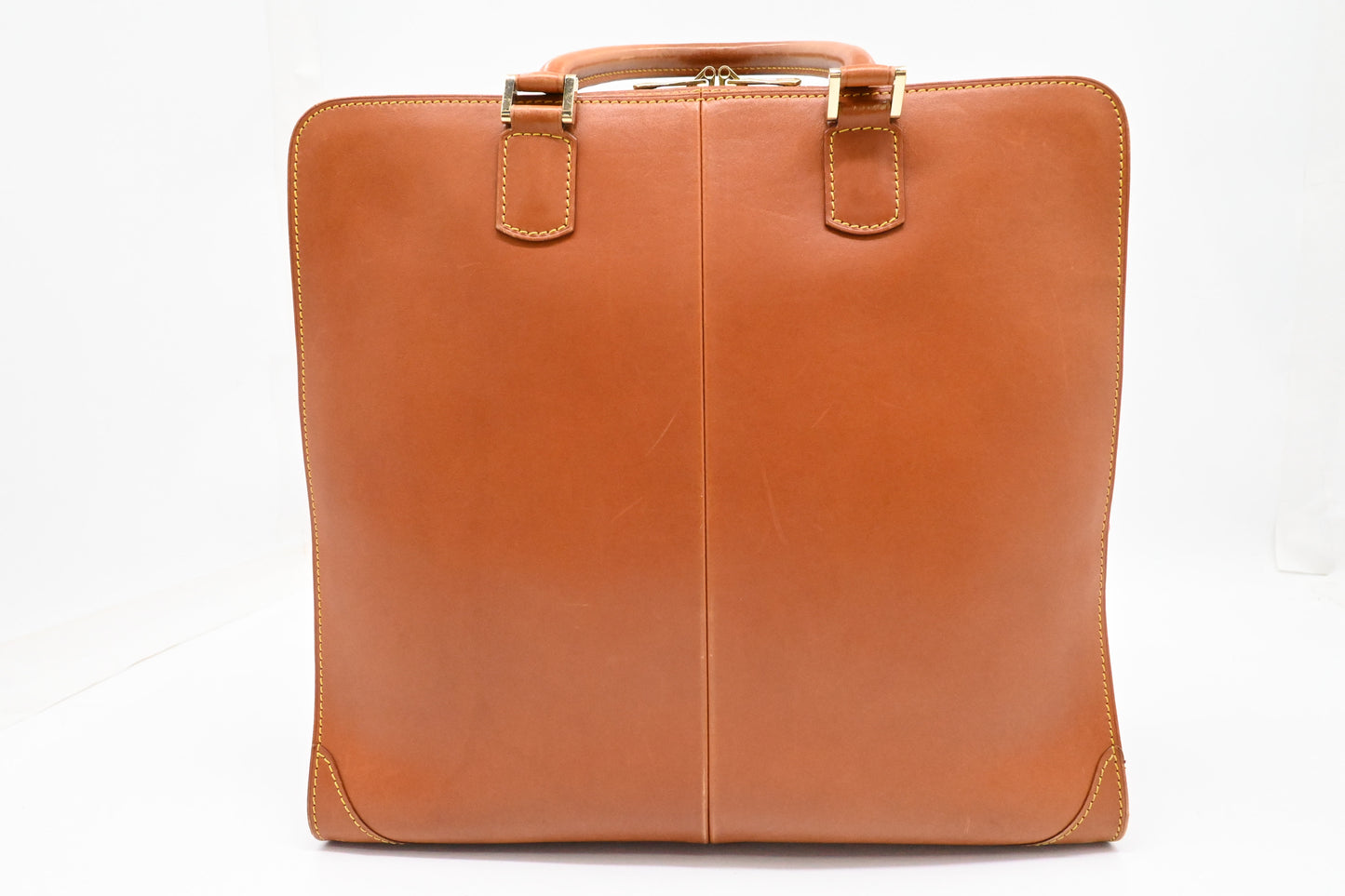 Louis Vuitton Negev in Nomade Leather
