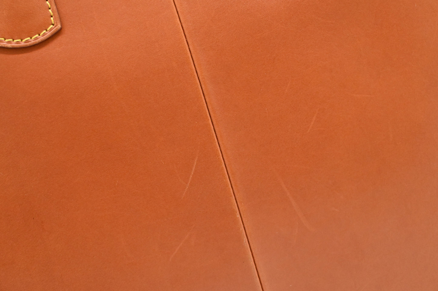 Louis Vuitton Negev in Nomade Leather