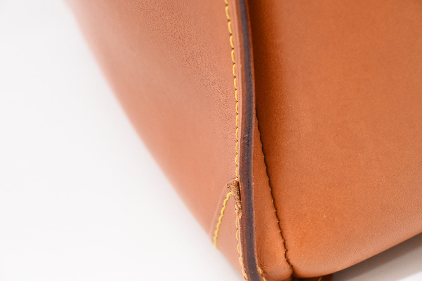 Louis Vuitton Negev in Nomade Leather