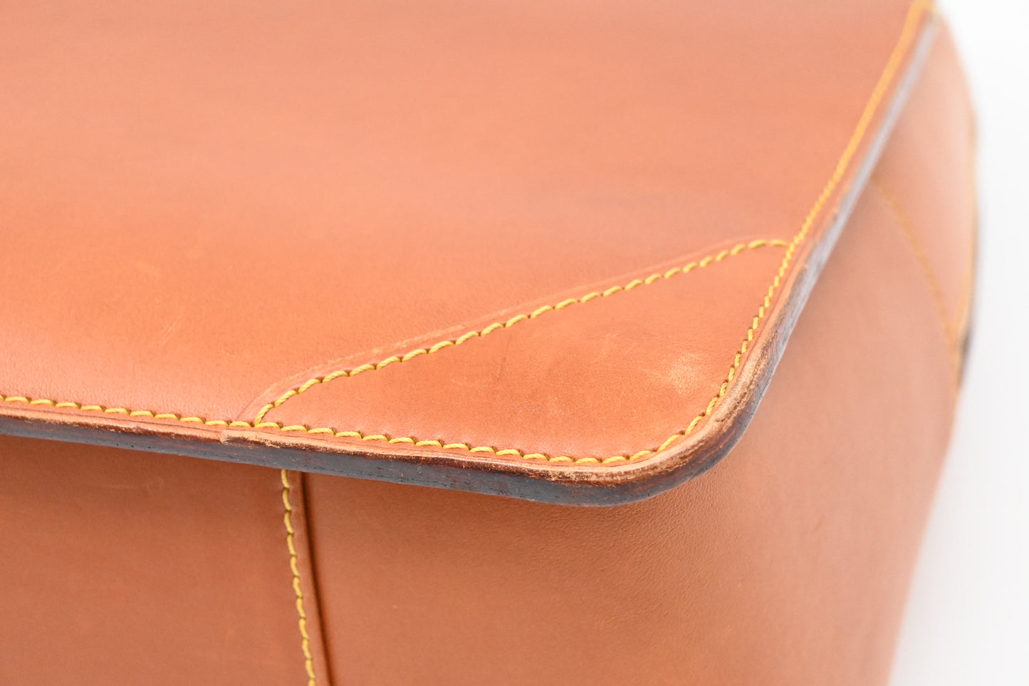 Louis Vuitton Negev in Nomade Leather