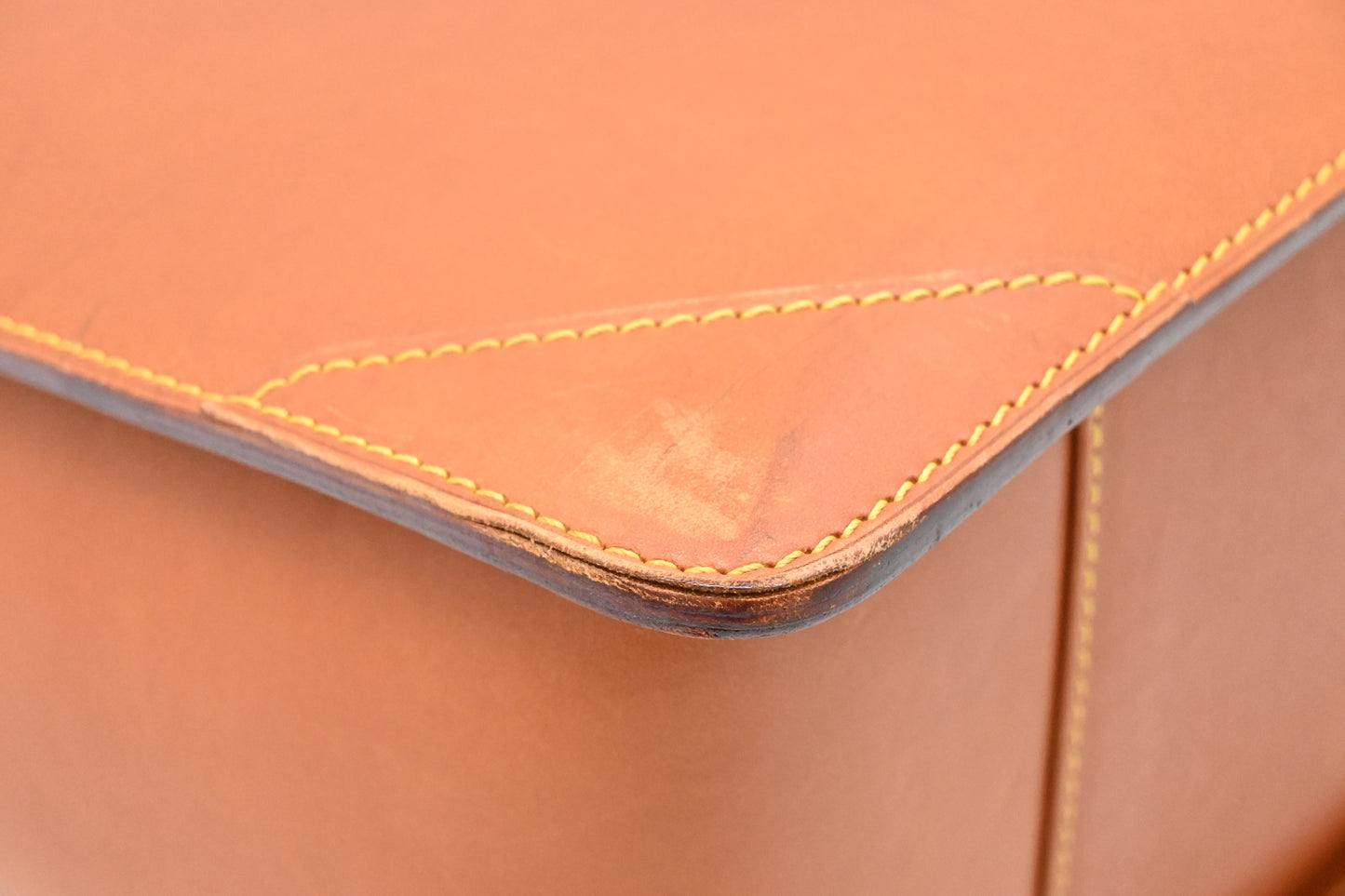 Louis Vuitton Negev in Nomade Leather