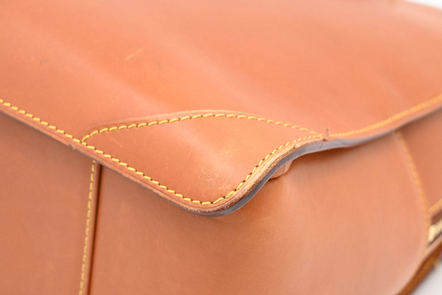 Louis Vuitton Negev in Nomade Leather
