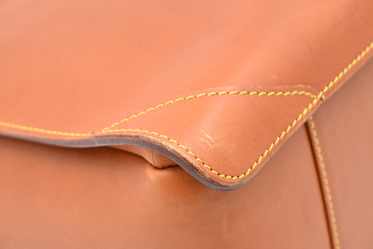 Louis Vuitton Negev in Nomade Leather