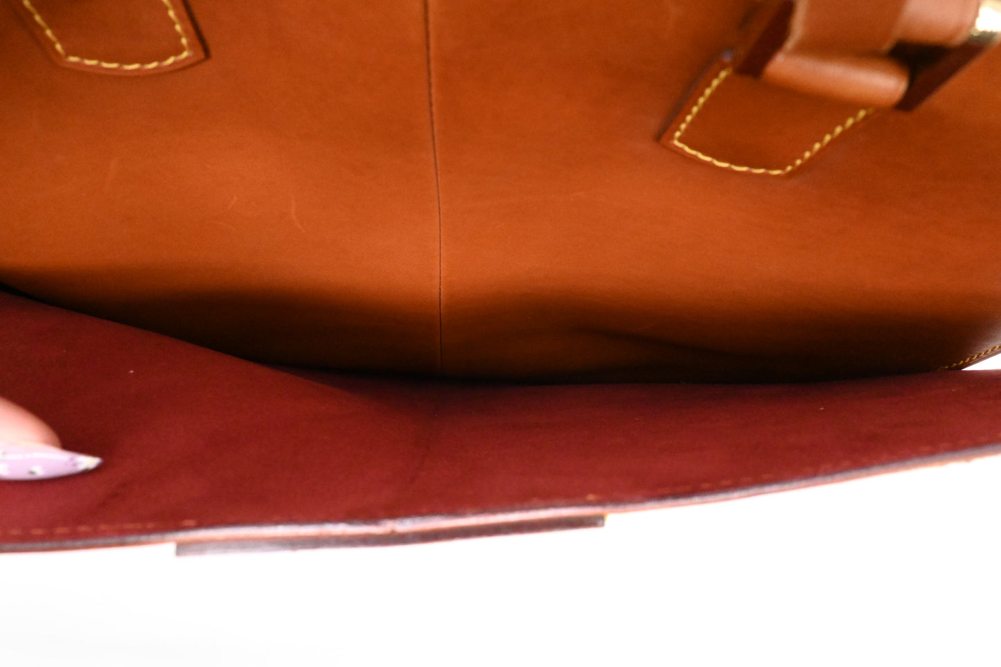 Louis Vuitton Negev in Nomade Leather