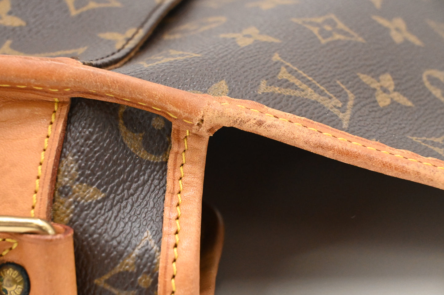 Louis Vuitton Gibeciere in Monogram Canvas