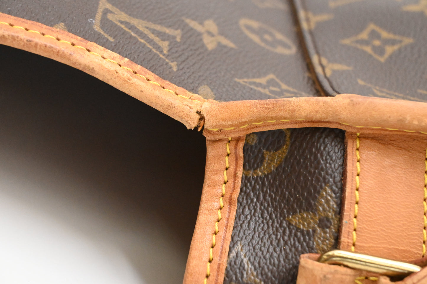 Louis Vuitton Gibeciere in Monogram Canvas