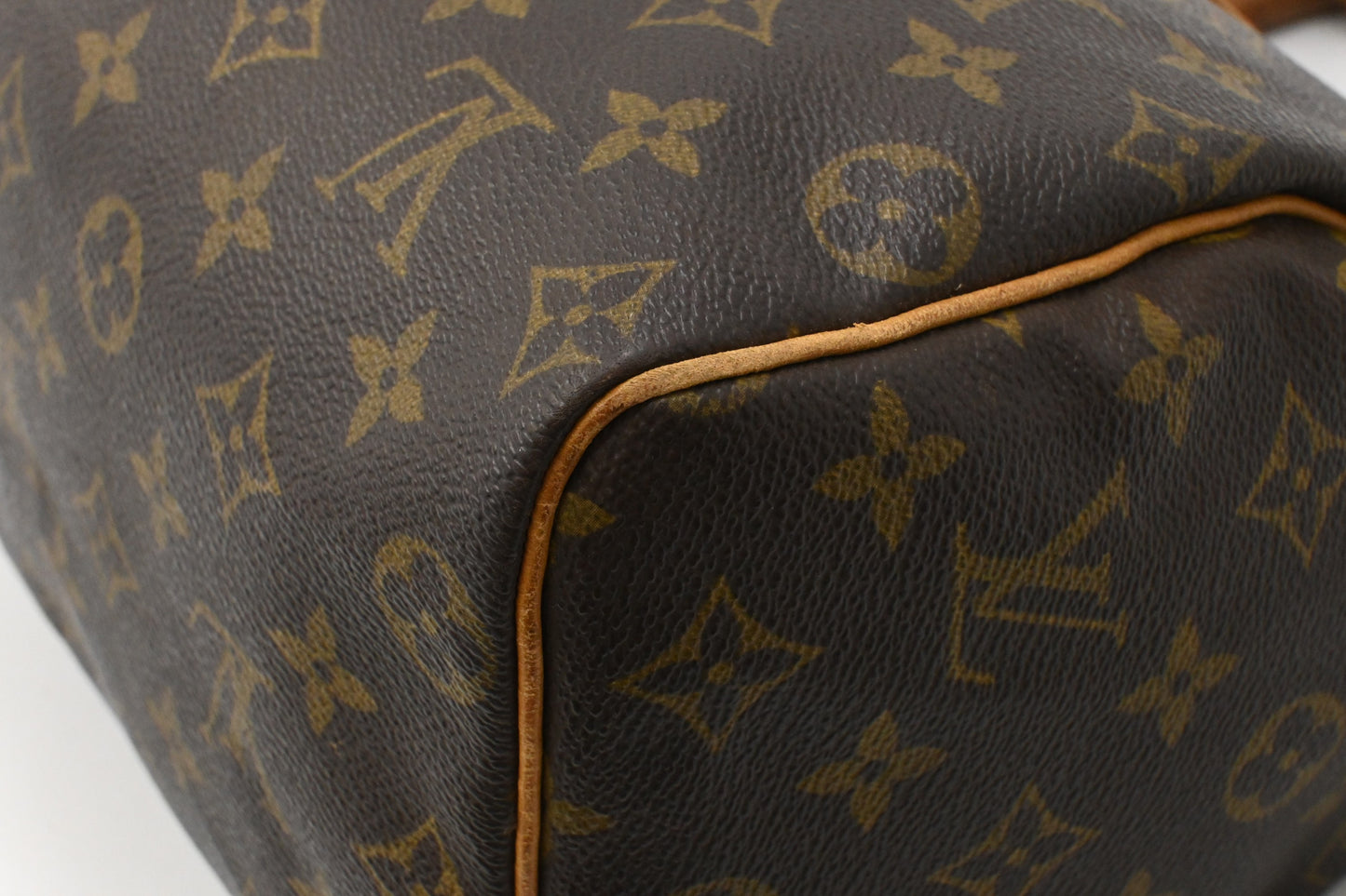 Louis Vuitton Speedy 25 in Monogram Canvas