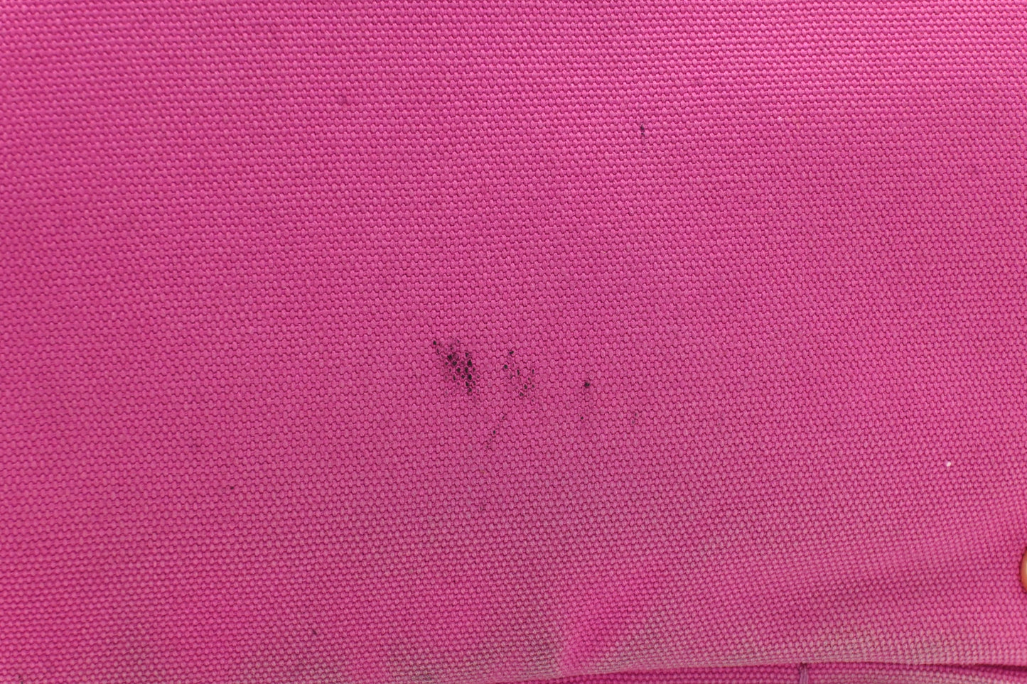 Prada Canapa in Pink Canvas