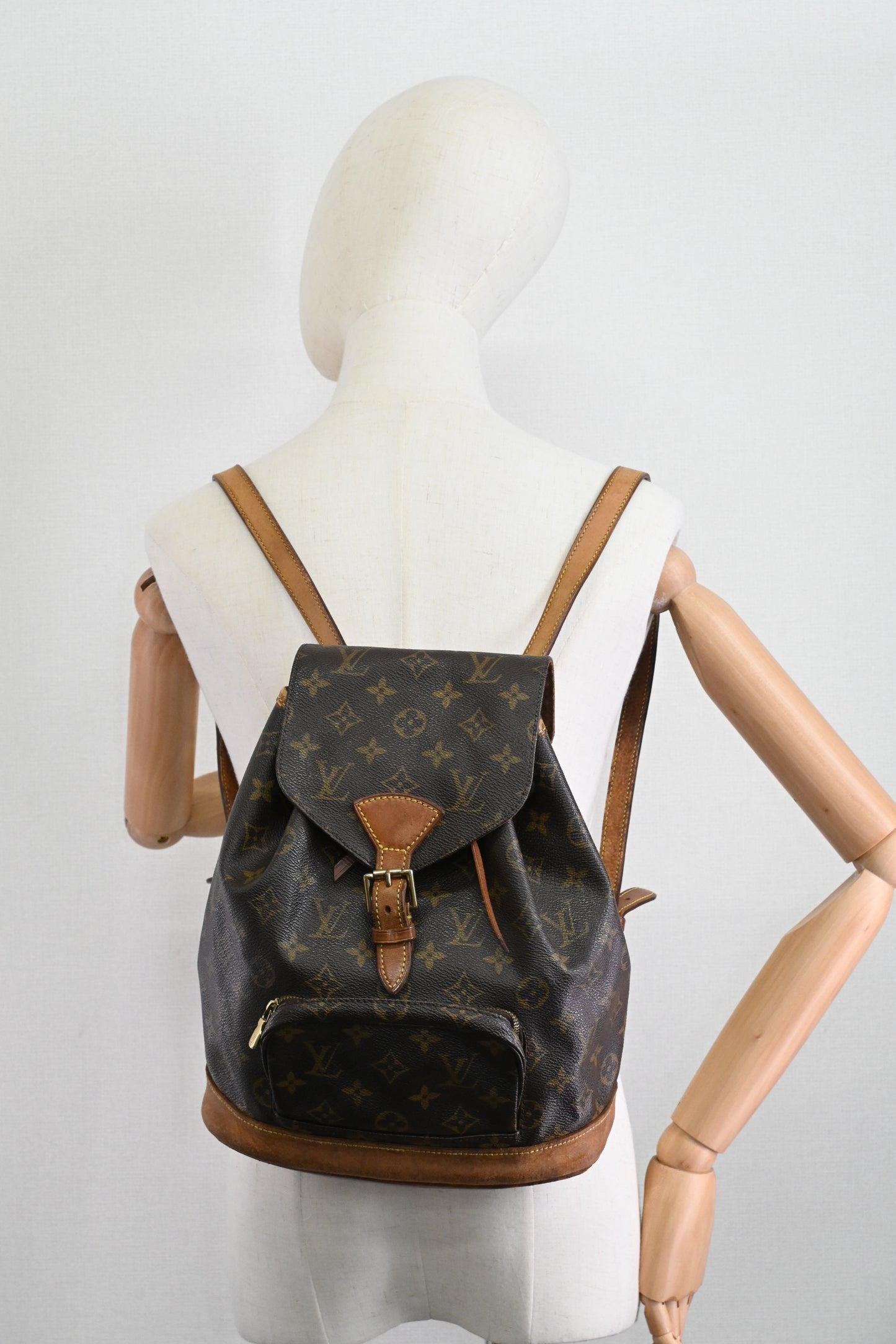 Louis Vuitton Montsouris PM in Monogram Canvas