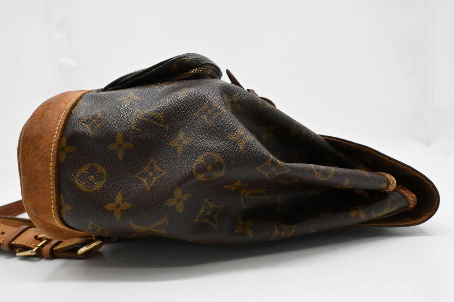 Louis Vuitton Montsouris PM in Monogram Canvas