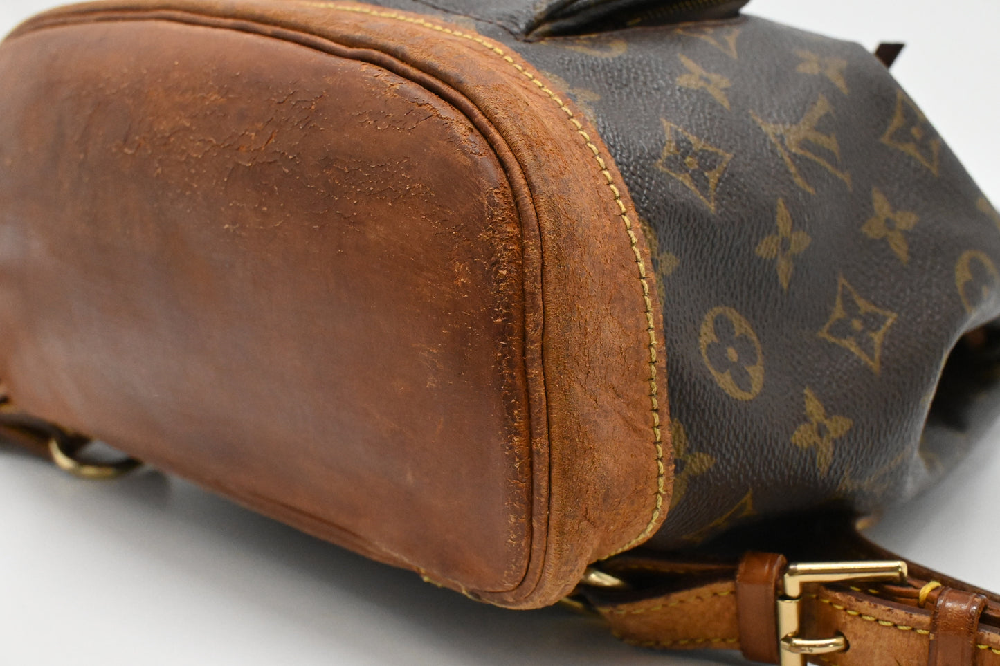 Louis Vuitton Montsouris PM in Monogram Canvas
